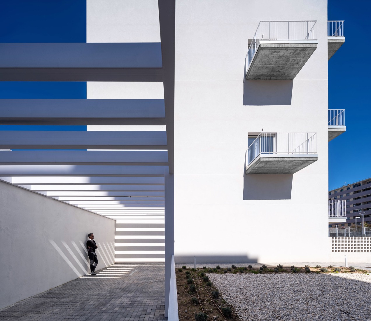 171 Rental homes, common areas, and parking by MCEA. Photograph by David Frutos Fotografía de Arquitectura.
