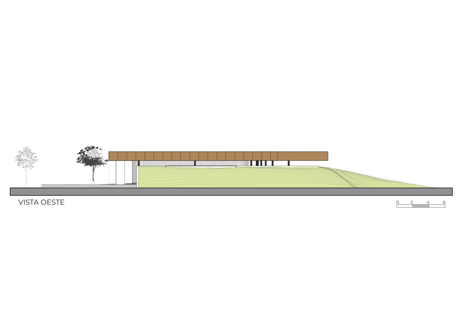 West elevation. Judicial Morgue for the city of Vera.