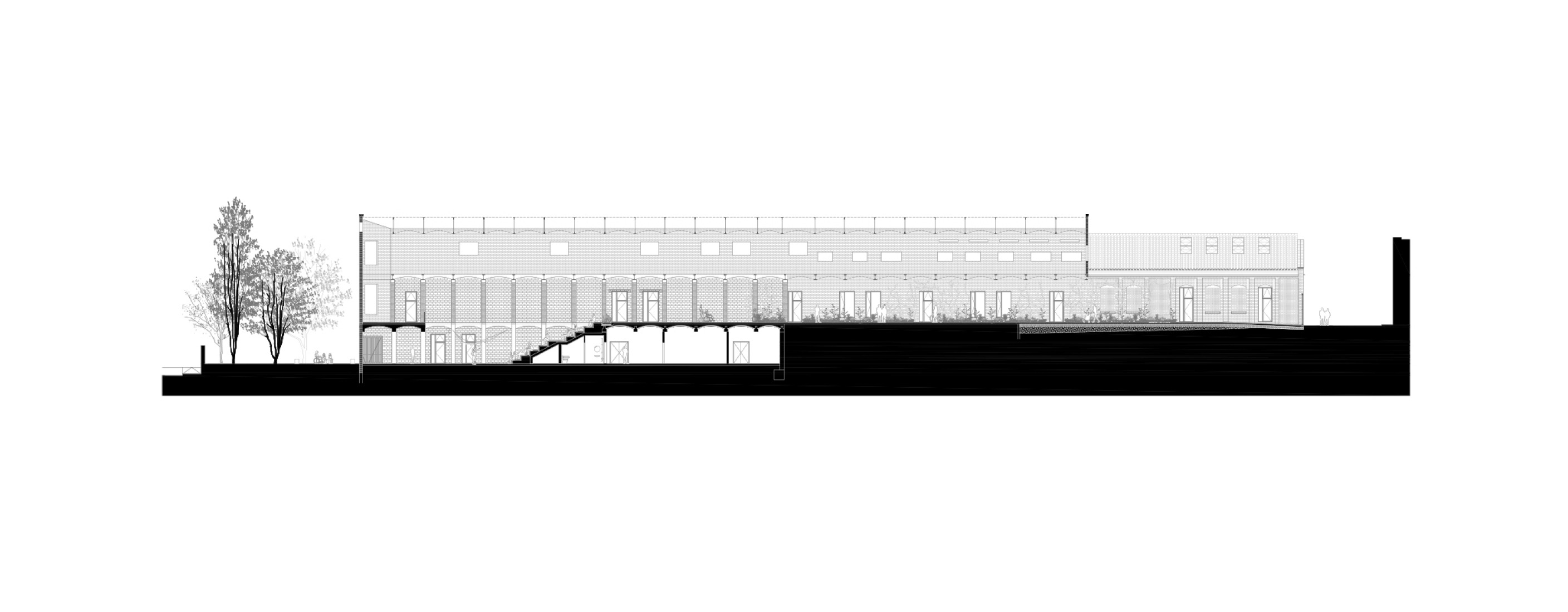 Longitudinal section. Rehabilitation of the Vapor Cortès - Prodis 1923 by Harquitectes.