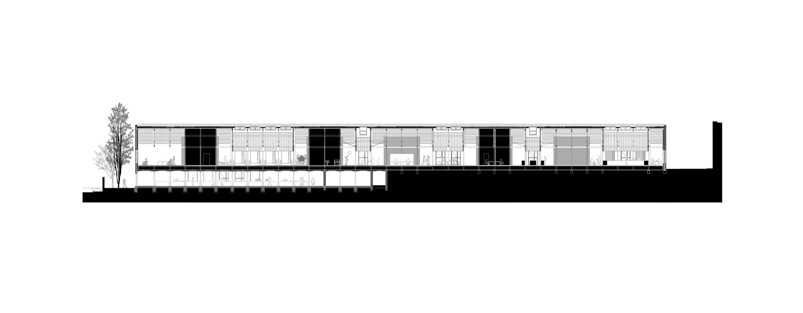 Longitudinal section. Rehabilitation of the Vapor Cortès - Prodis 1923 by Harquitectes.