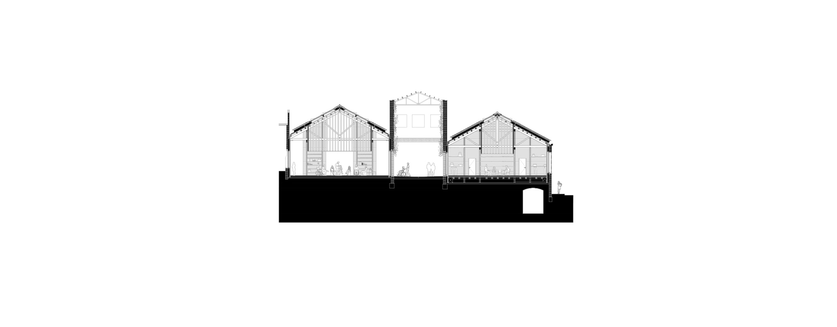Cross section. Rehabilitation of the Vapor Cortès - Prodis 1923 by Harquitectes.