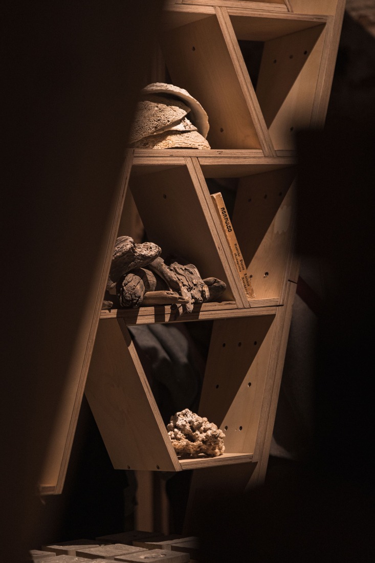 Curiosity pavilion for the Venice Biennale by a|911, Cadena Concepts, Esrawe. Photography by Ricardo de la Concha.