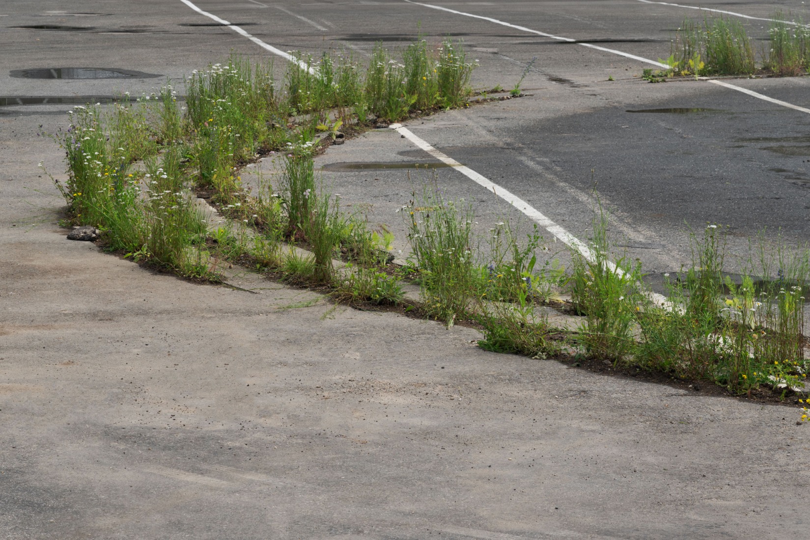 Craquelures dans le réel Bains de Bellerive by Gonzalo Peña Sancho, architect (KRI), Ilse Cardenas, Diego Escamilla, architects (Palma), Fujan Fahmi, landscape designer (MOFA), Lucia Espinosa de los Monteros Garcia Frias, landscape designer (KOIZ studio), Federico Lepre, architect (atelier ll0l0l). Photography by DSL Studio, Federico Lepre.