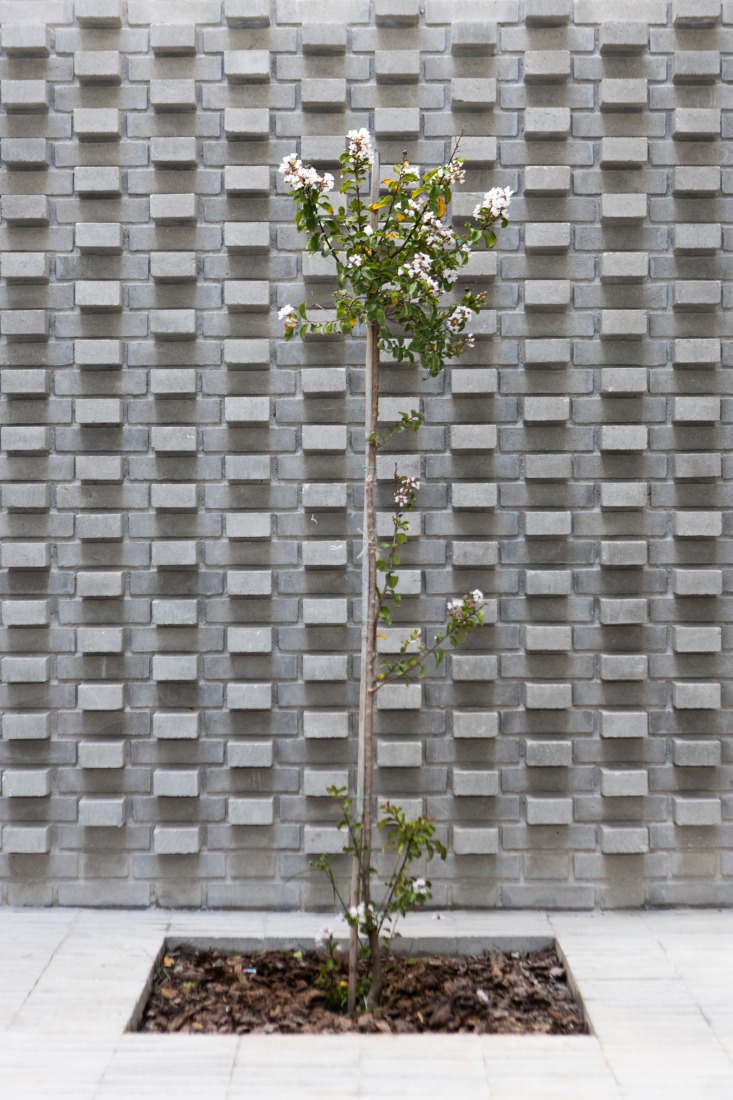 NÑZ 3949 por Estudio Arqtipo. Fotografía por Israel Caire.