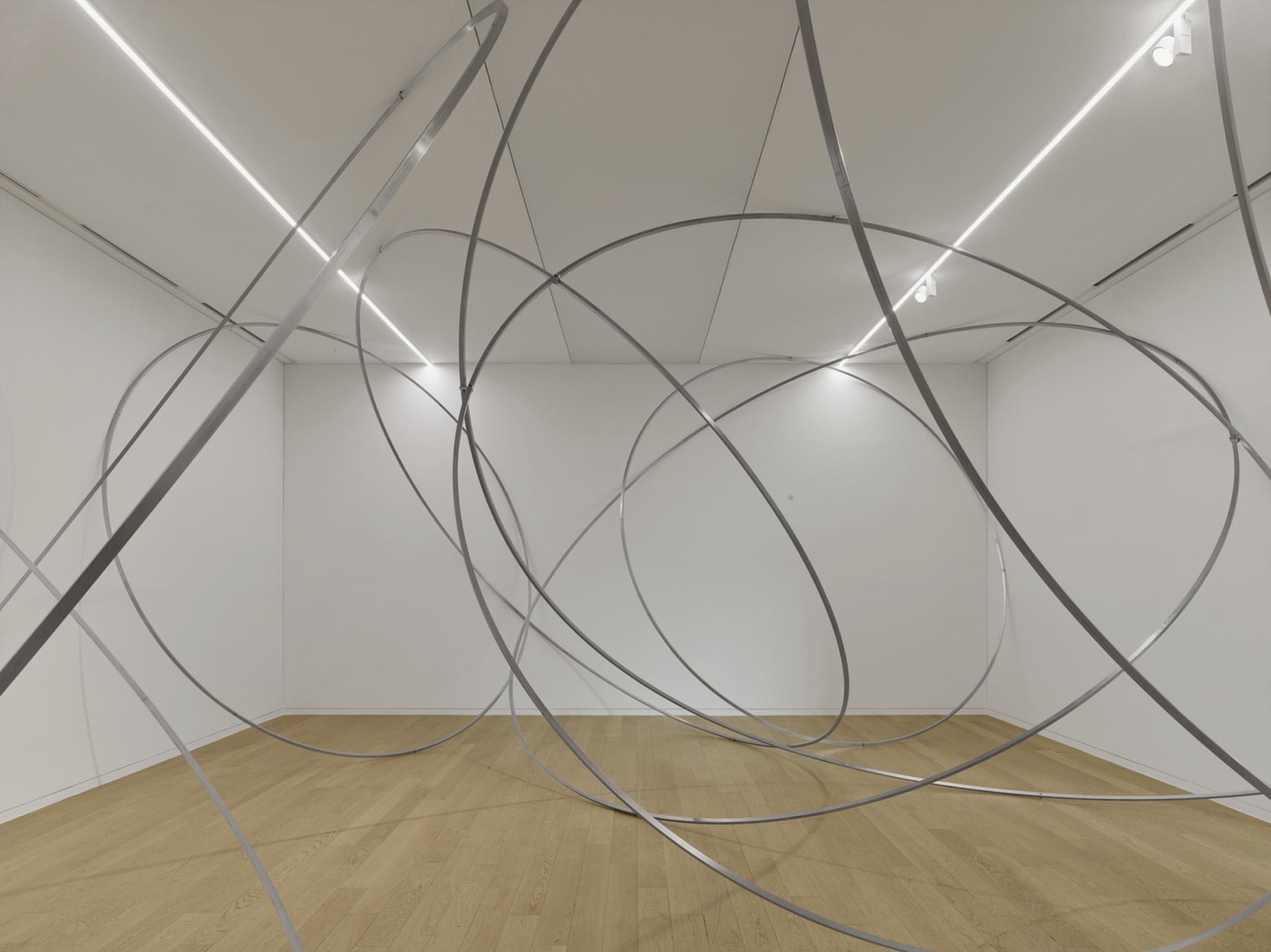 "Orbit Field II". Antony Gormley. Drawing on Space / Ground by Antony Gormley, Tadao Ando. 