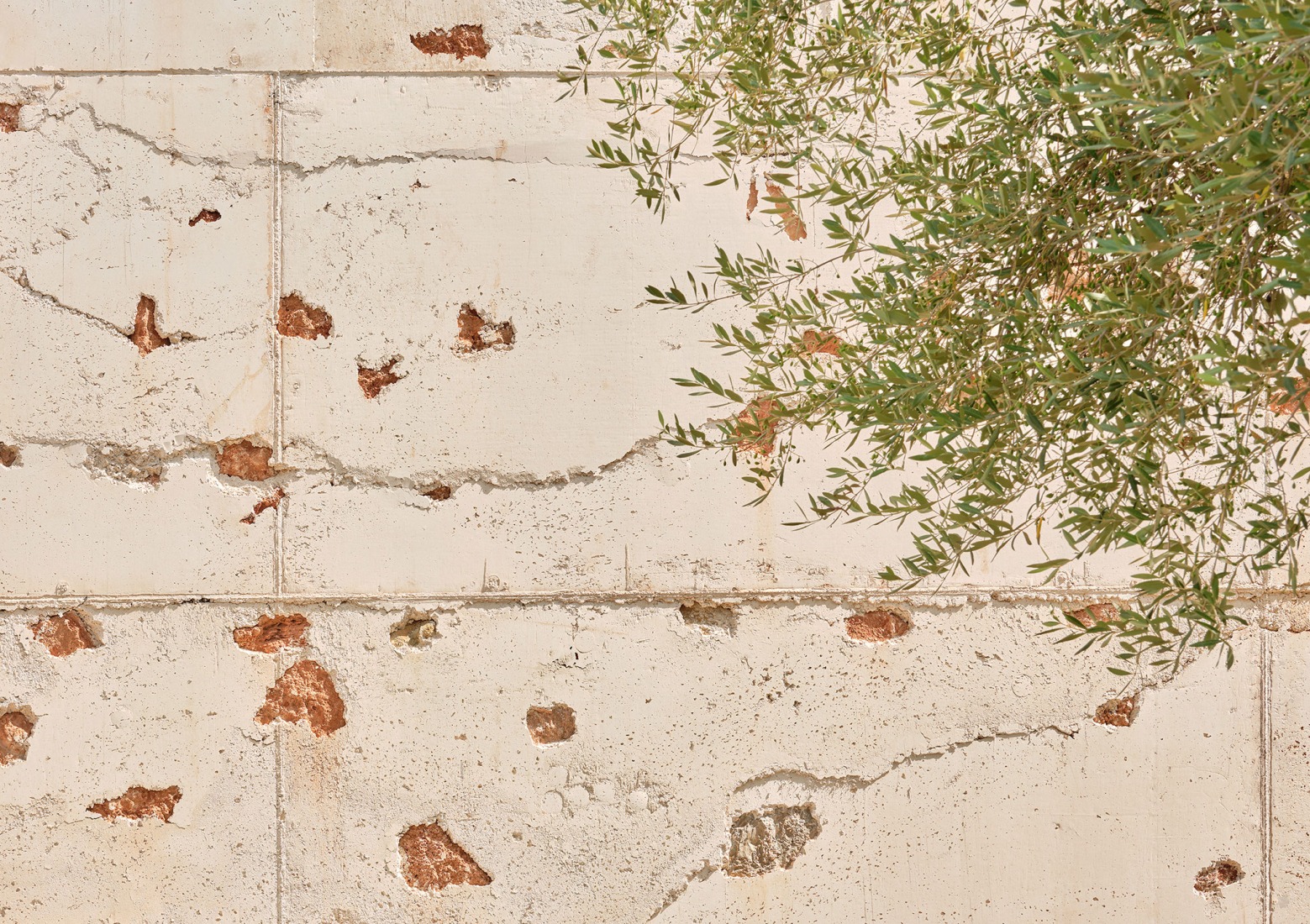 «Ses Veles Puigpunyent» por Alventosa Morell Arquitectes y Joan Josep Fortuny Giró. Fotografía por José Hevia.