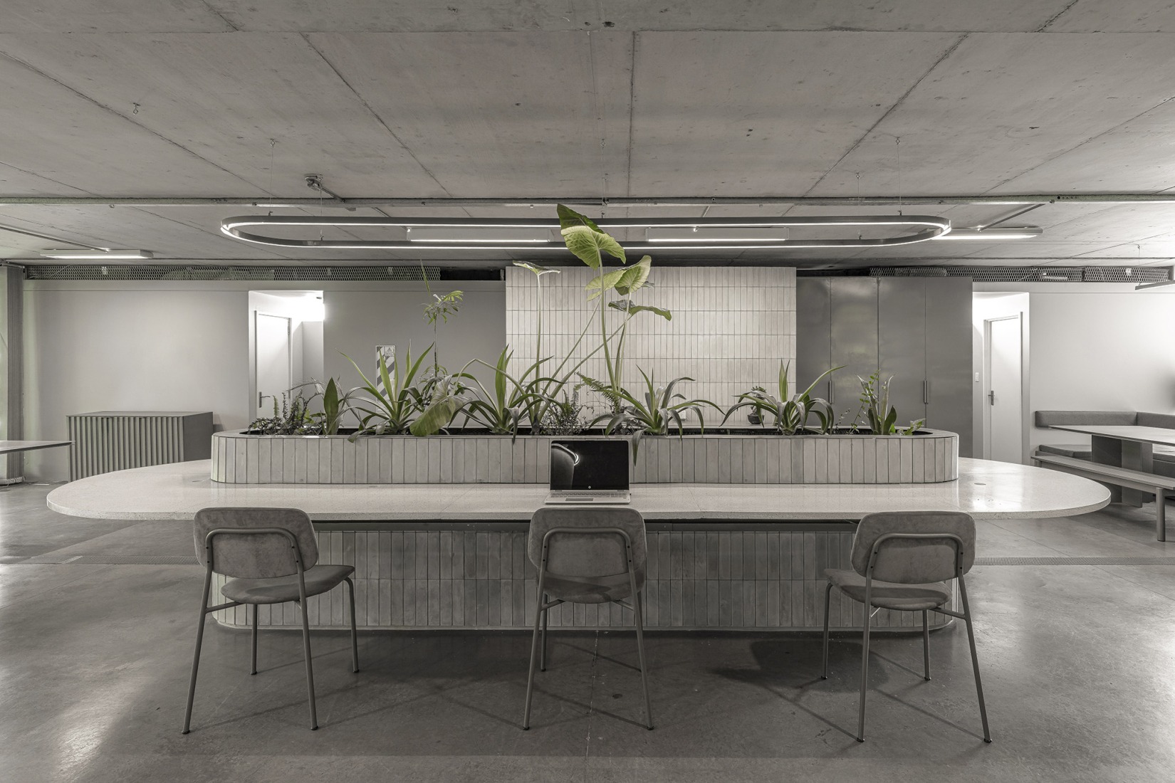 Zapiola by Grizzo Studio. Photograph by Federico Kulekdjian.
