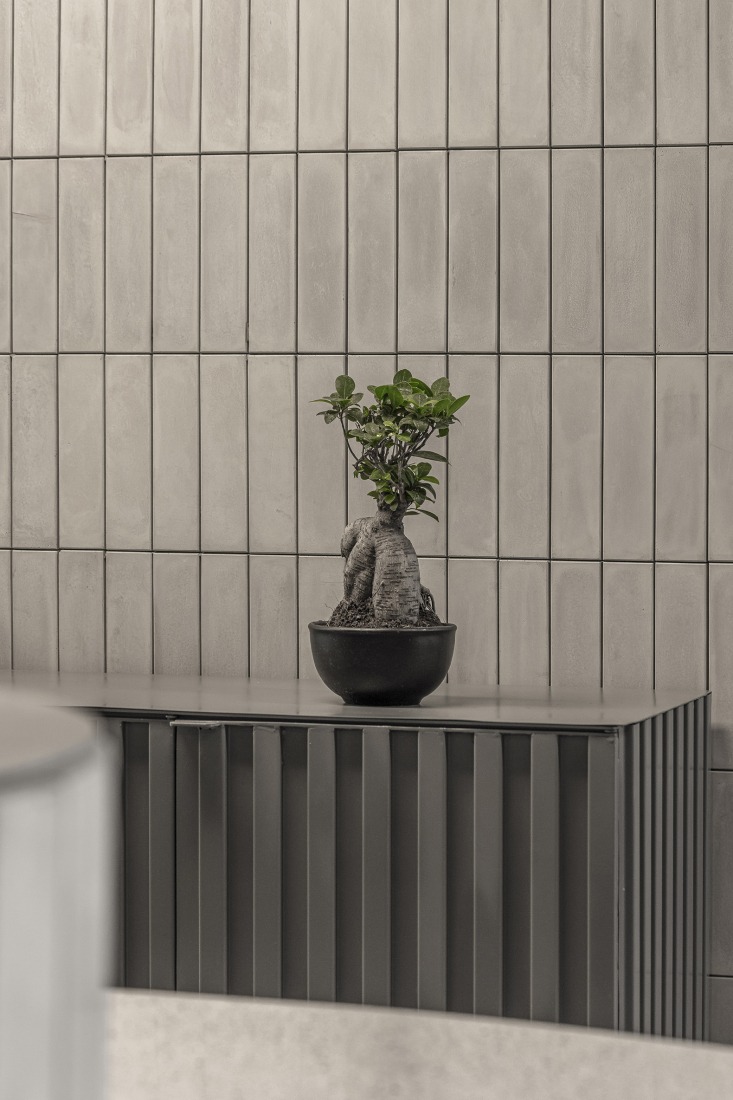 Zapiola by Grizzo Studio. Photograph by Federico Kulekdjian.
