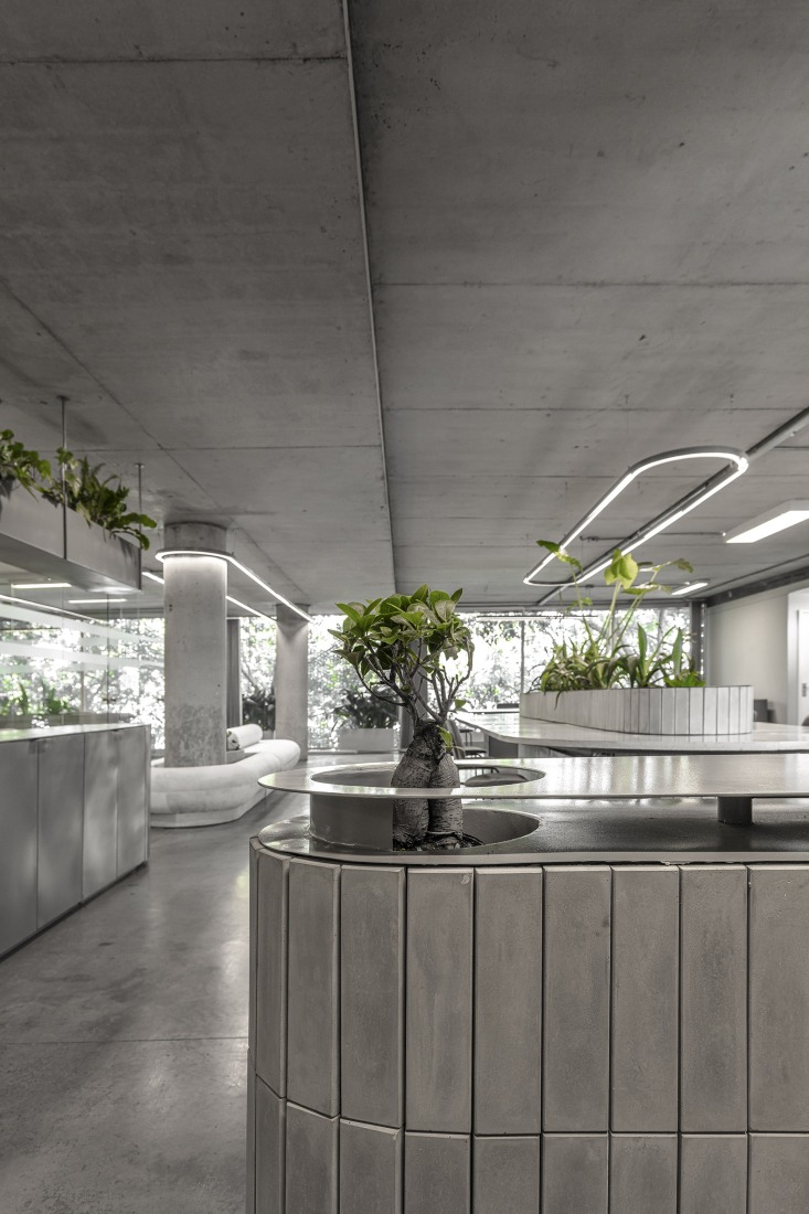 Zapiola by Grizzo Studio. Photograph by Federico Kulekdjian.
