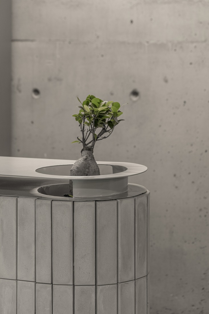 Zapiola by Grizzo Studio. Photograph by Federico Kulekdjian.