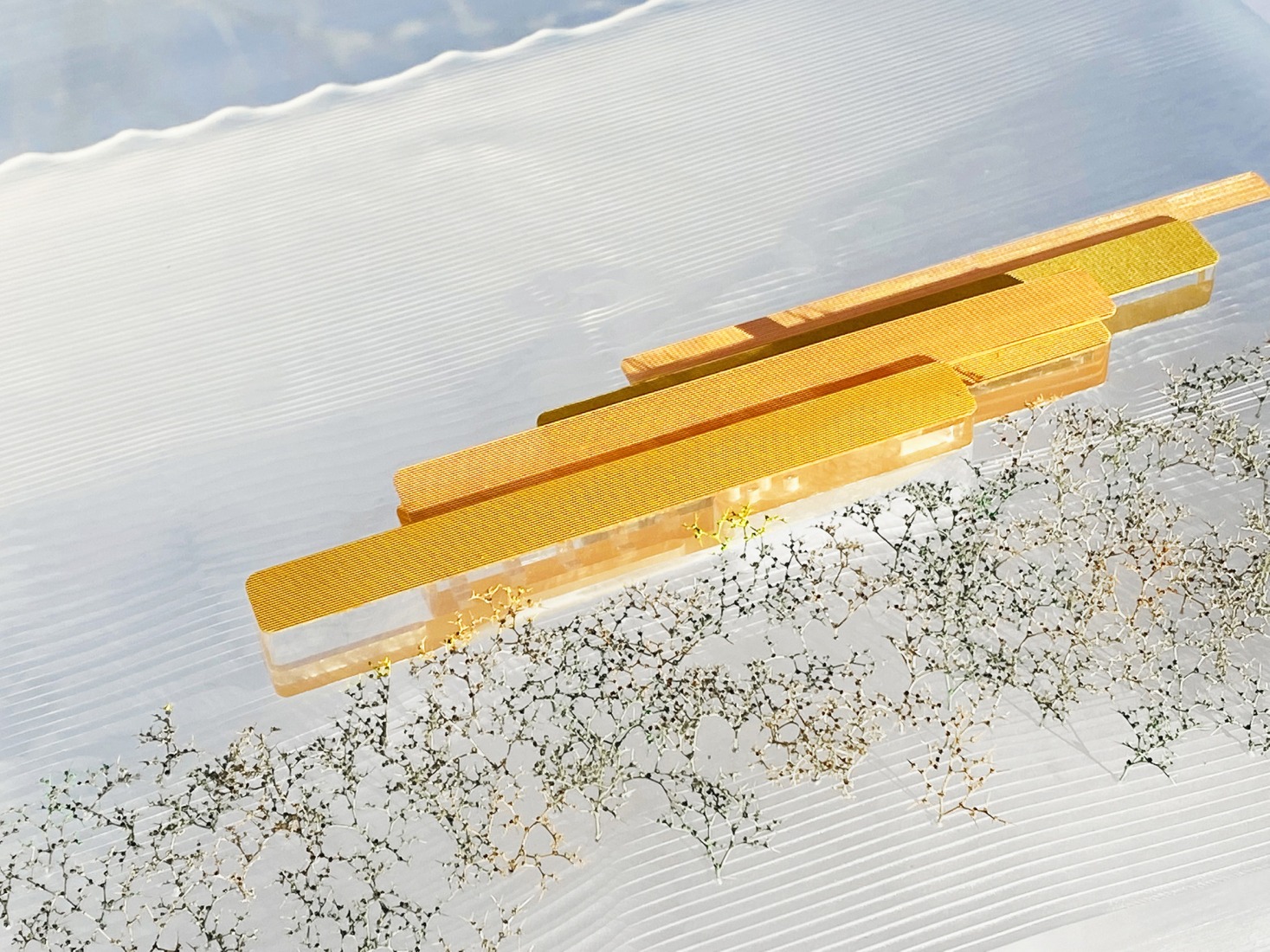 Model. "Chiringuito Café" by SelgasCano. Model. "Chiringuito Café" by SelgasCano.