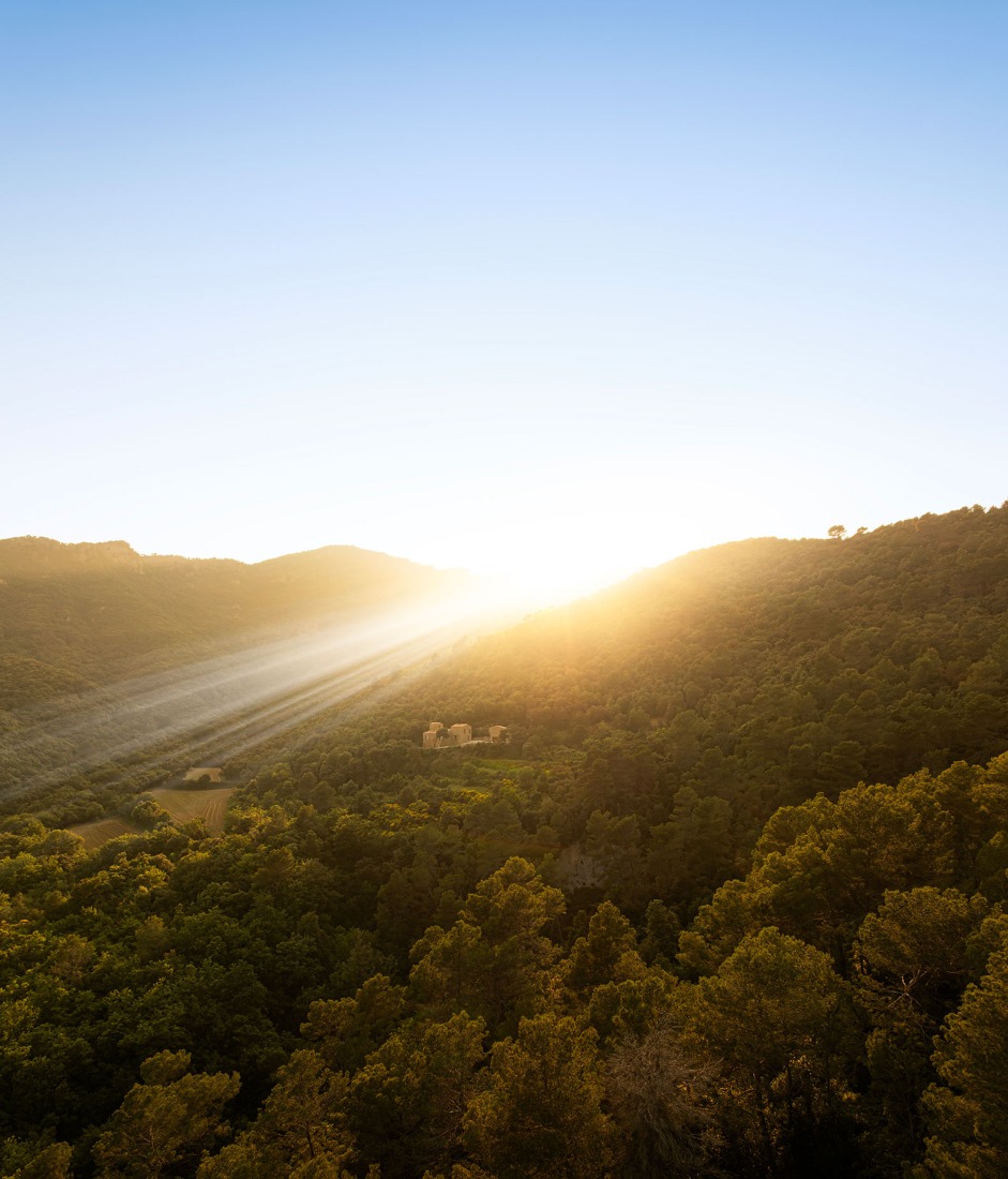 Mas Cadalt by Fran Silvestre Arquitectos. Photograph by Fernando Guerra.