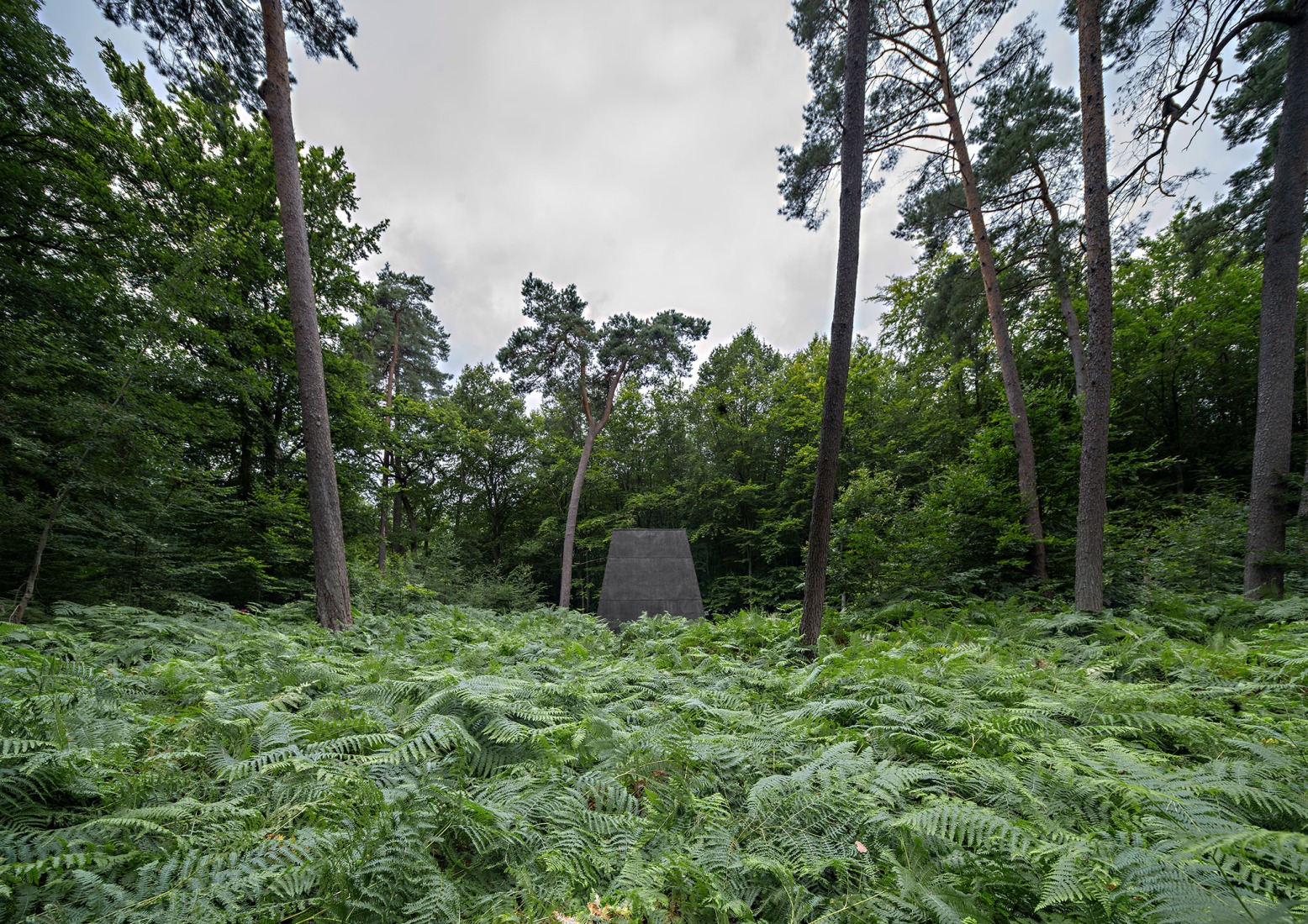 COMPLUVIUM by P + S  Estudio de Arquitectura. Photograph by Javier Callejas.