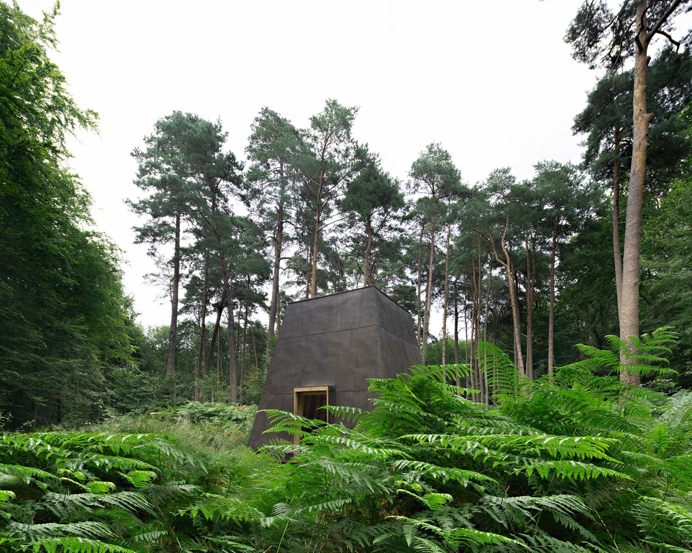 COMPLUVIUM by P + S  Estudio de Arquitectura. Photograph by Javier Callejas.
