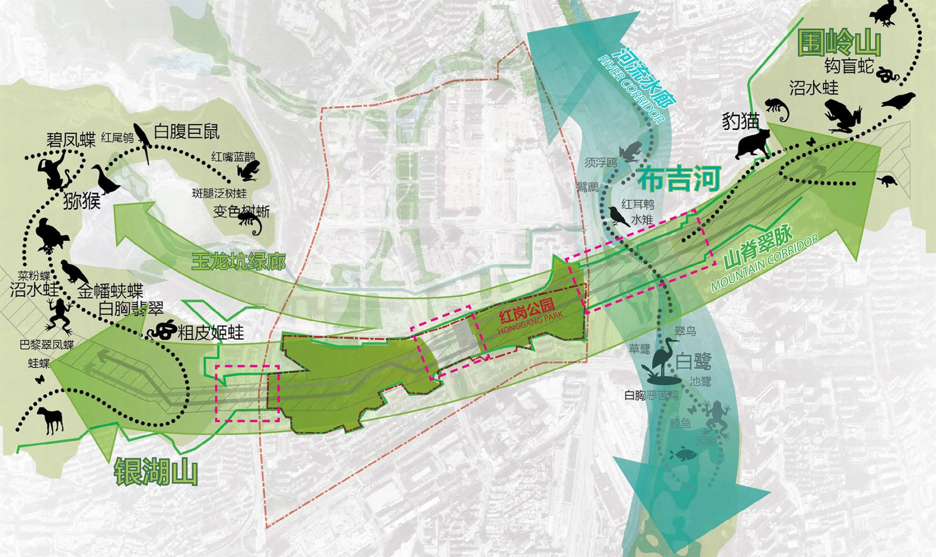 El corredor este-oeste como eje del ecosistema. Parque Hong Gang por SWA.