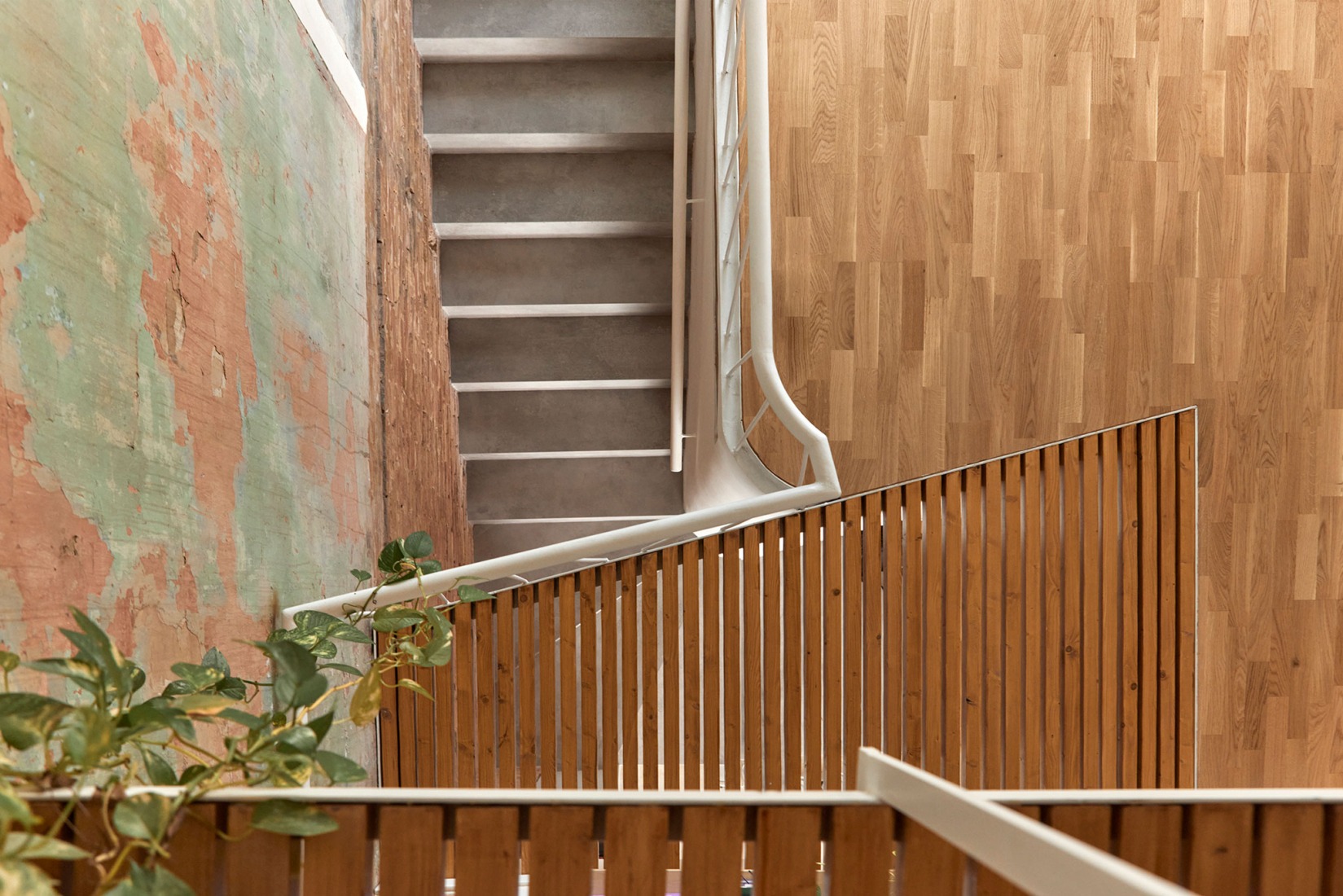 Casa del filósofo por José Costa. Fotografía por Mariela Apollonio. 