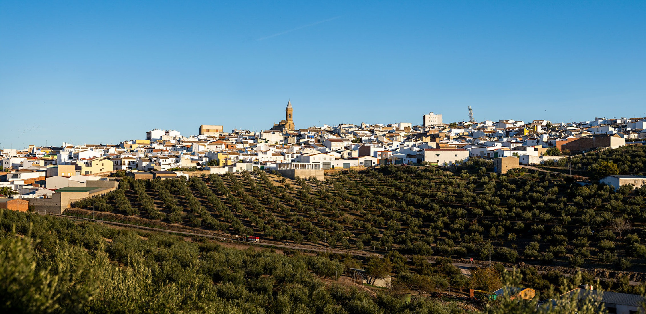 Puesta en valor de la Cisterna romana de «La Calderona» por Pablo Millán. Fotografía por Javier Callejas Sevilla.