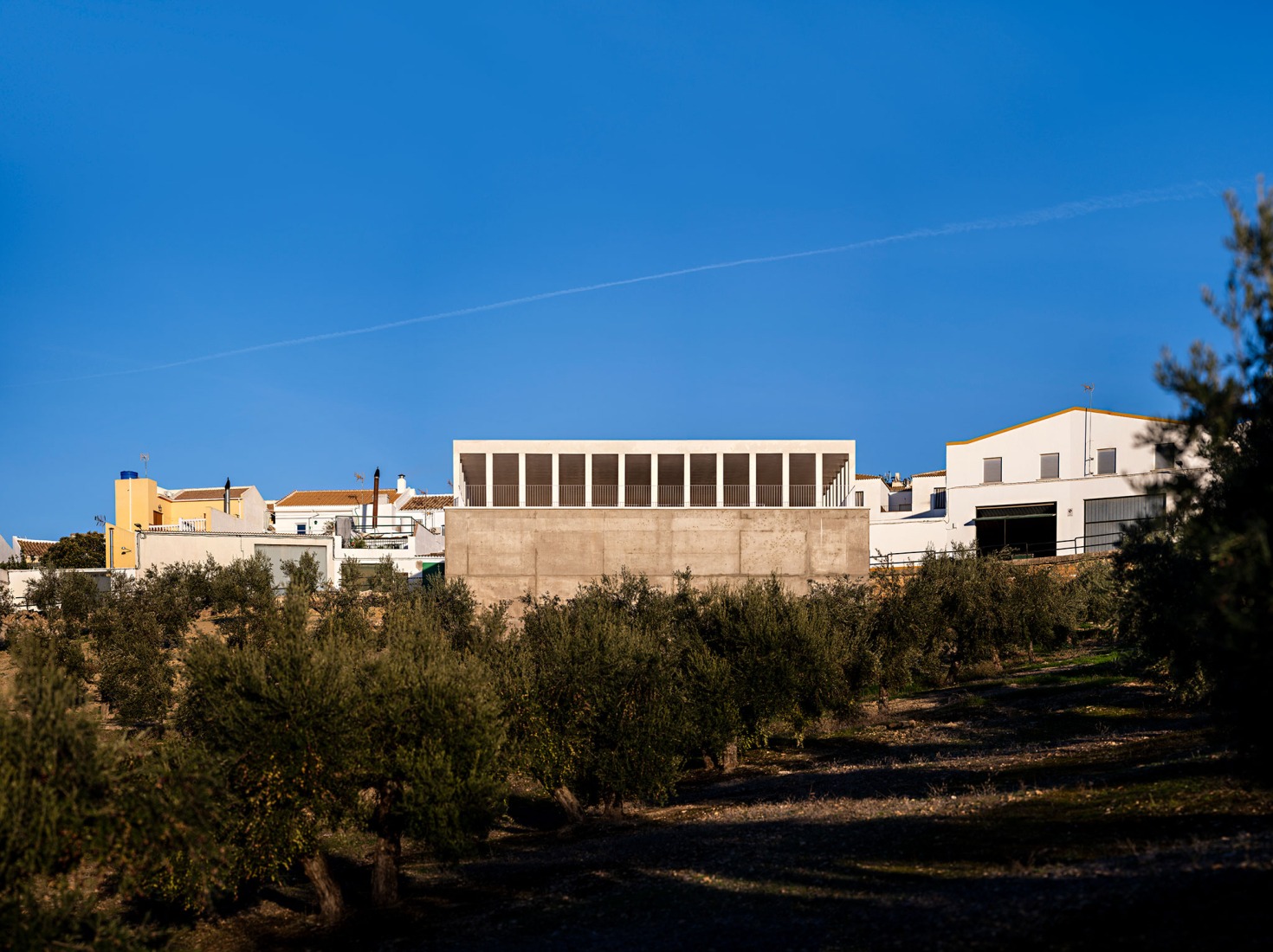 Puesta en valor de la Cisterna romana de «La Calderona» por Pablo Millán. Fotografía por Javier Callejas Sevilla.