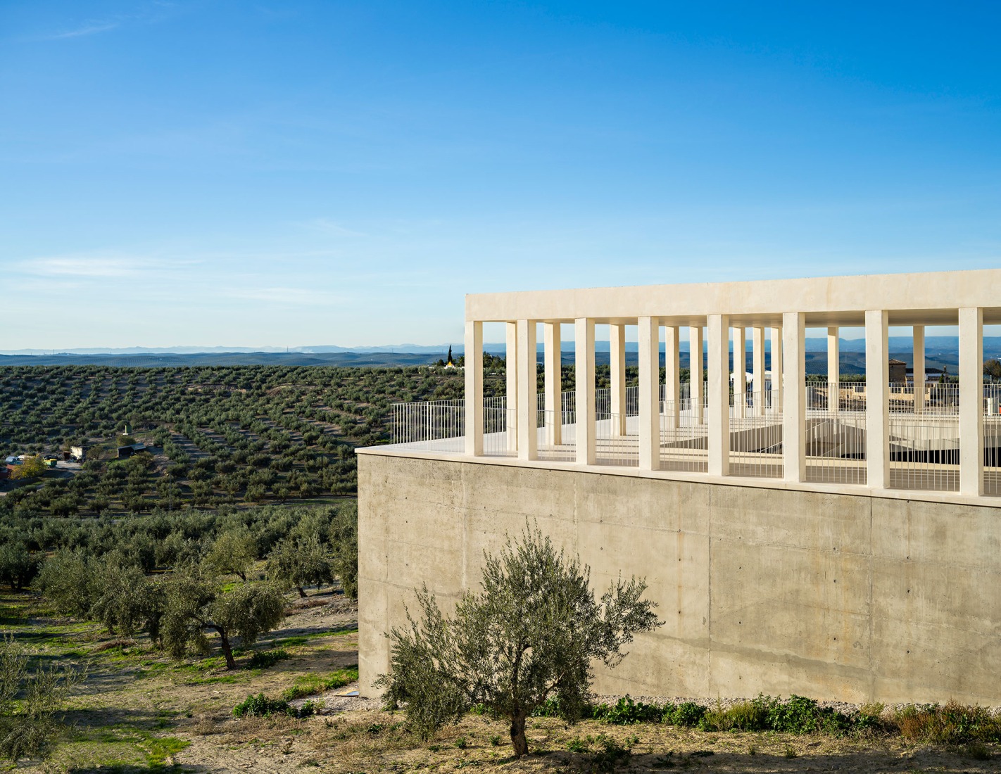 Puesta en valor de la Cisterna romana de «La Calderona» por Pablo Millán. Fotografía por Javier Callejas Sevilla.