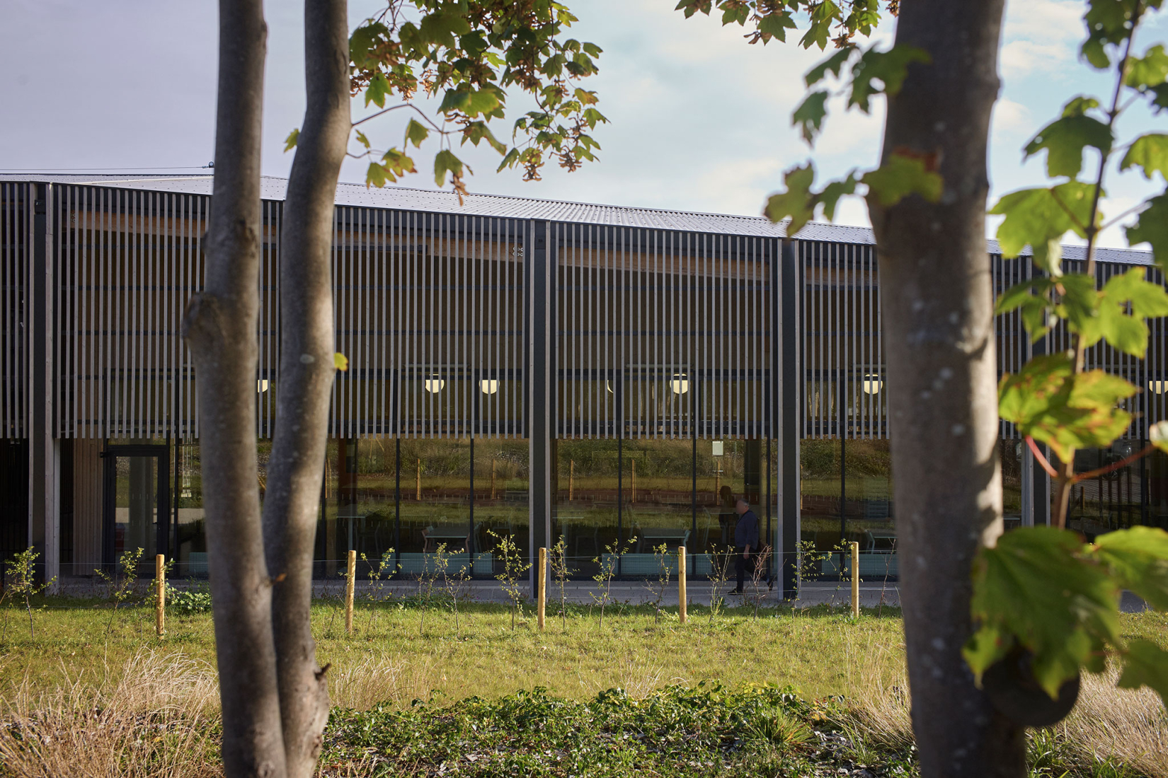 Robert Badinter Secondary School by Coldefy. Photograph by Julien Lanoo.