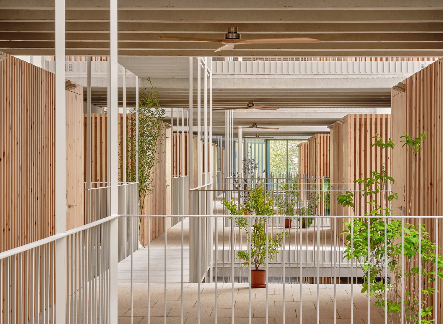 GREENH@USE by Peris + Toral Arquitectes. Photograph by José Hevia.