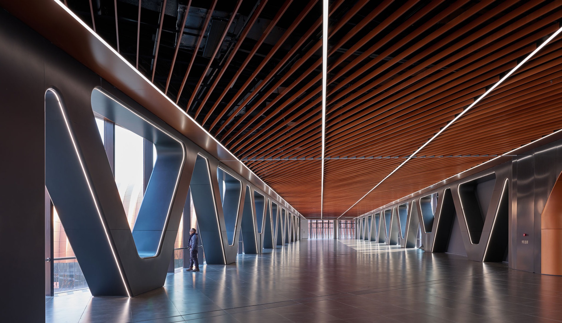 CIECC by Zaha Hadid Architects. Photograph by Virgile Simon Bertrand.