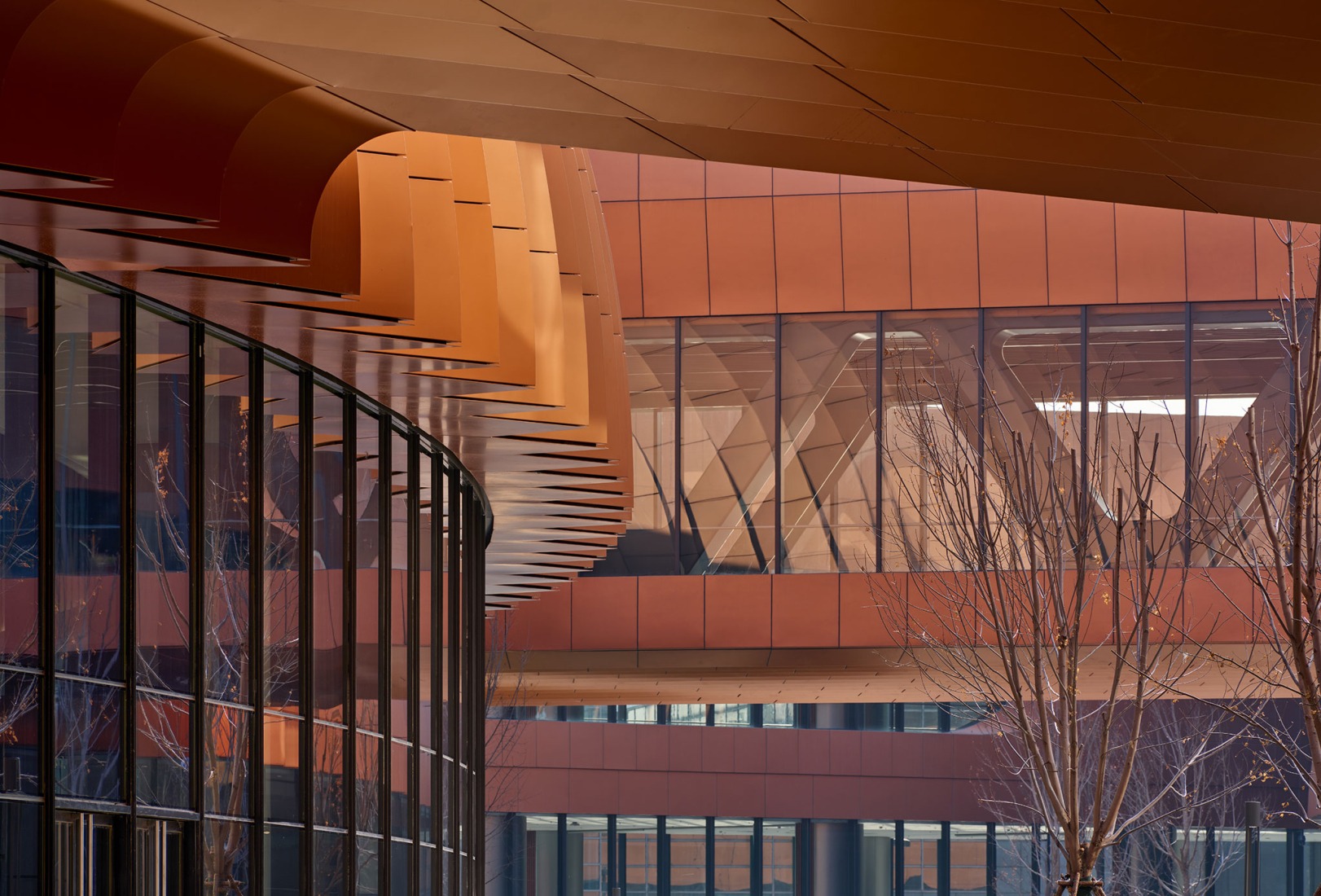 CIECC by Zaha Hadid Architects. Photograph by Virgile Simon Bertrand.