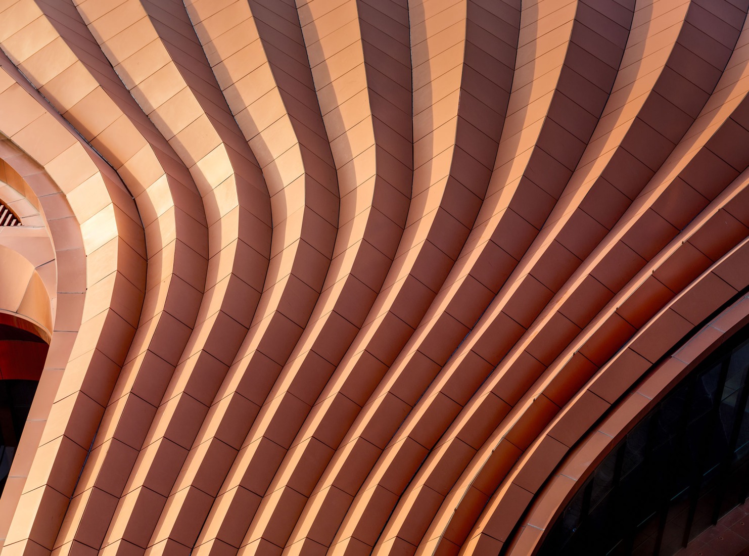 CIECC by Zaha Hadid Architects. Photograph by Virgile Simon Bertrand.