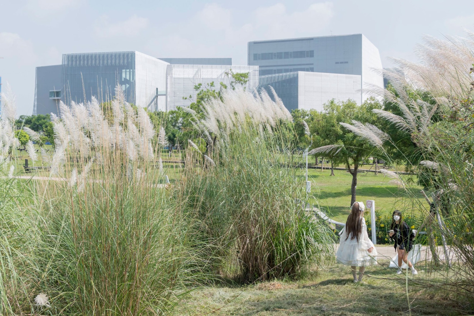Museo-biblioteca verde de Taichung por SANAA. Fotografía por Iwan Baan.