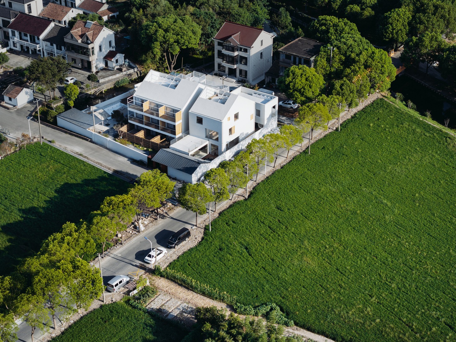 Guesthouse Elevated Above the Rice Fields. The Catcher guesthouse by Team_BLDG. Photograph by Hu Siyuan.