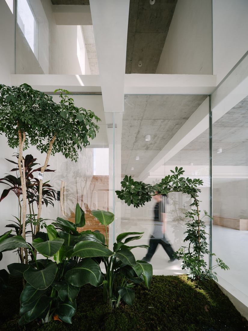 Semi-Outdoor Courtyard in the Interstitial Space. The Catcher guesthouse by Team_BLDG. Photograph by Hu Siyuan.