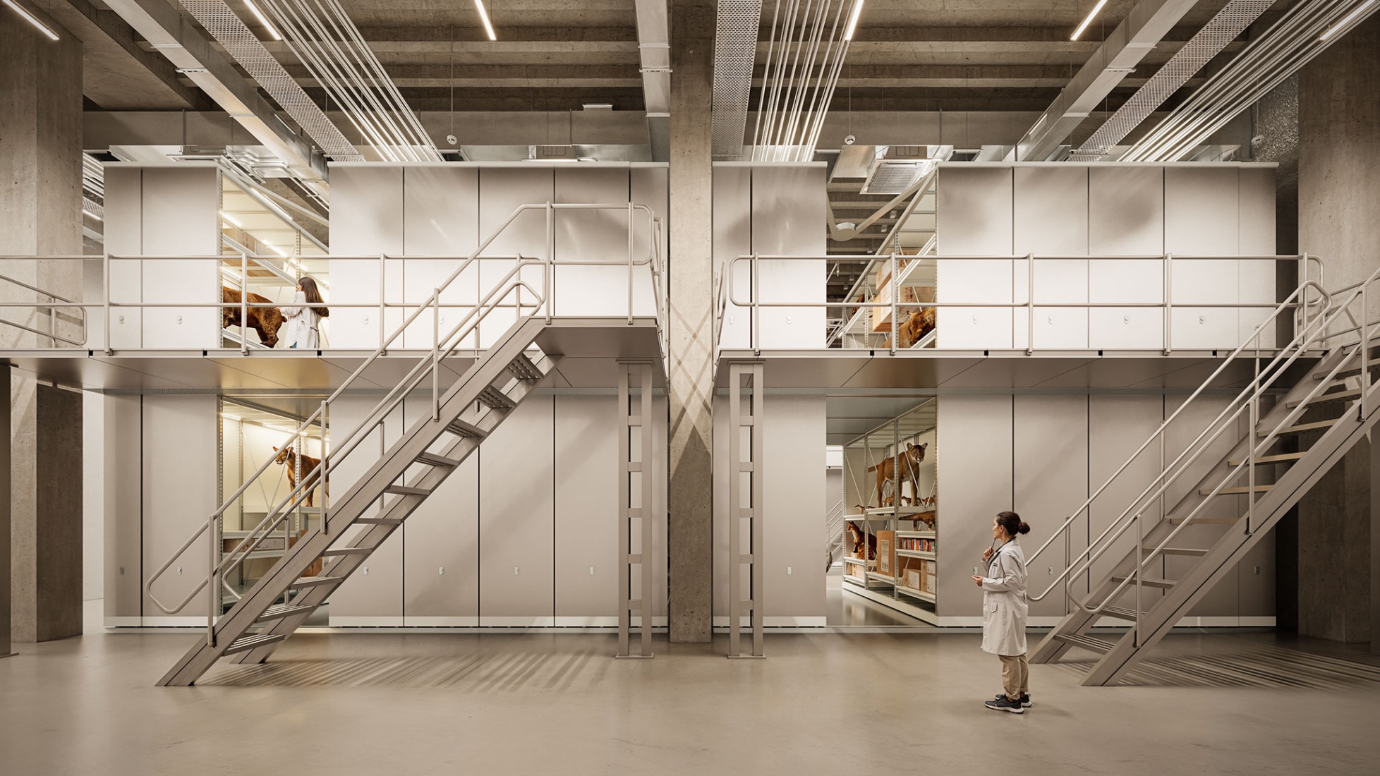 Debrecen Collection Centre by Sordo Madaleno, építész stúdió and Buro Happold. Image by Sordo Madaleno.