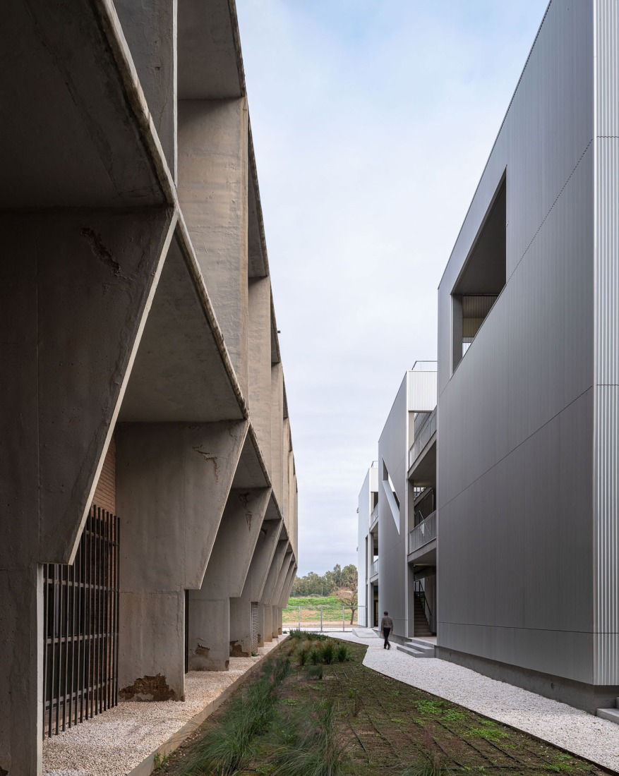 Expansion and renovation of the ETSIA of the Universidad de Sevilla by Estudio Carbajal. Photograph by Fernando Alda.