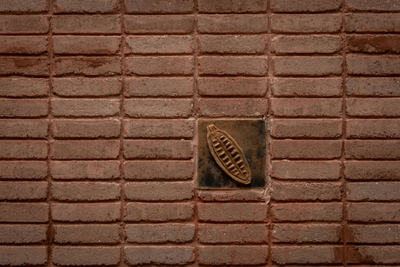 "La Cacaotera" Regional Museum by Laboratorio regional de arquitectura + Taller Mauricio Rocha + Samuele Xompero. Photograph by Miguel Cobos. 