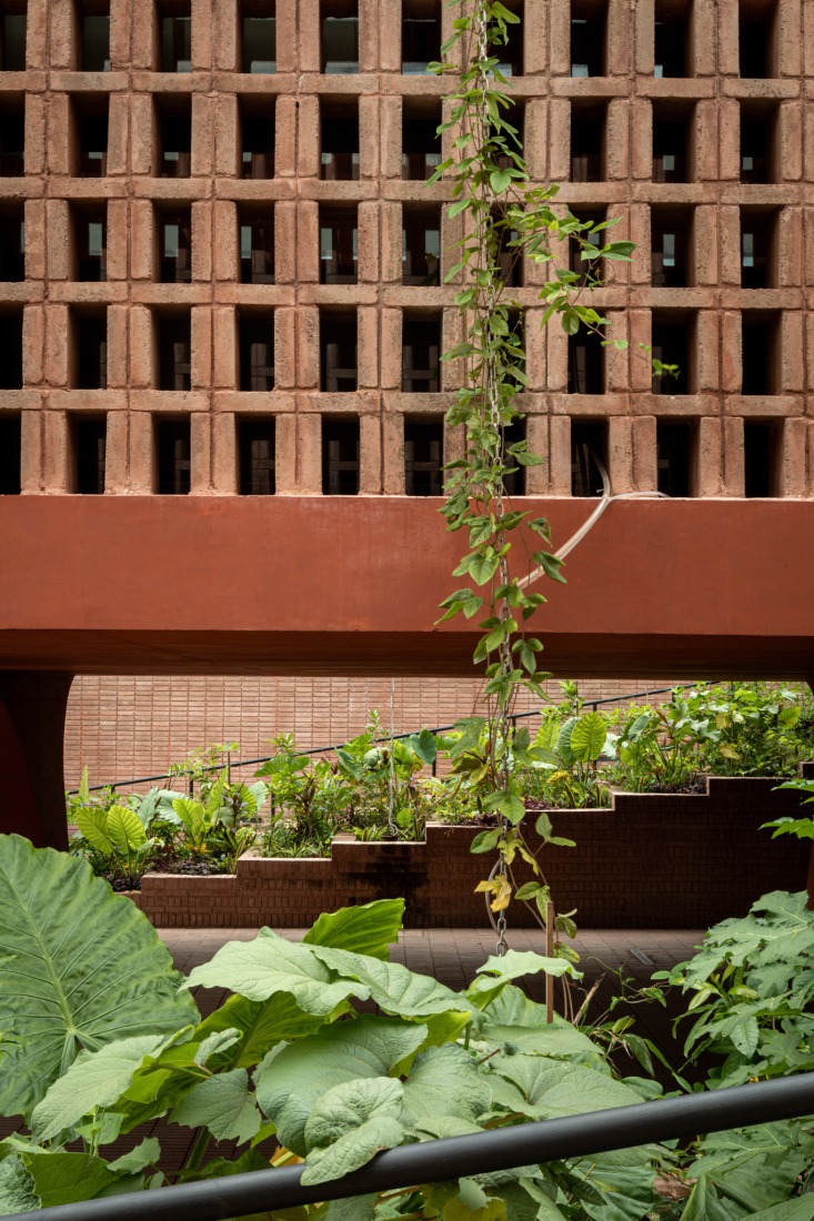 "La Cacaotera" Regional Museum by Laboratorio regional de arquitectura + Taller Mauricio Rocha + Samuele Xompero. Photograph by Miguel Cobos. 