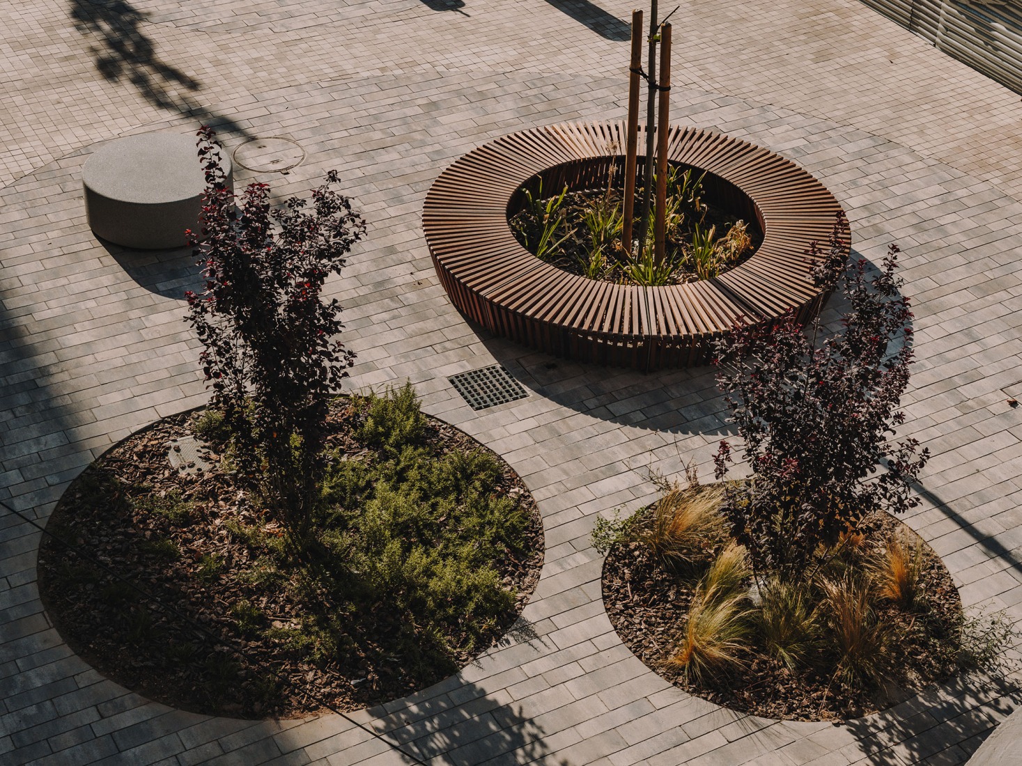 Dr. Caro urban bus interchange in Elche by ARN / Architects. Photograph by Oleh Kardash Horlay.