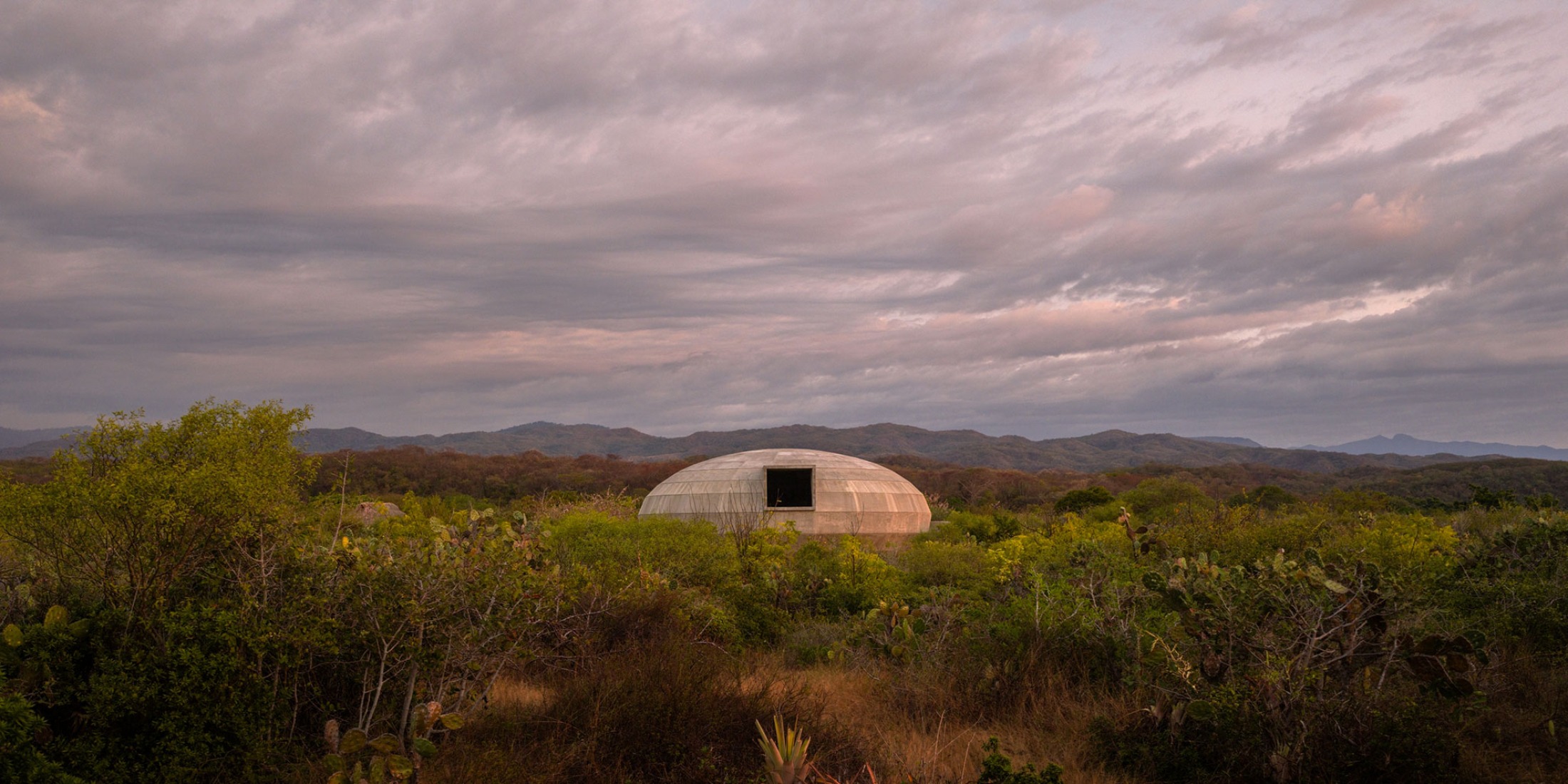 Mushroom Pavilion by OMA / Shohei Shigematsu. Photograph by Rafael Gamo.