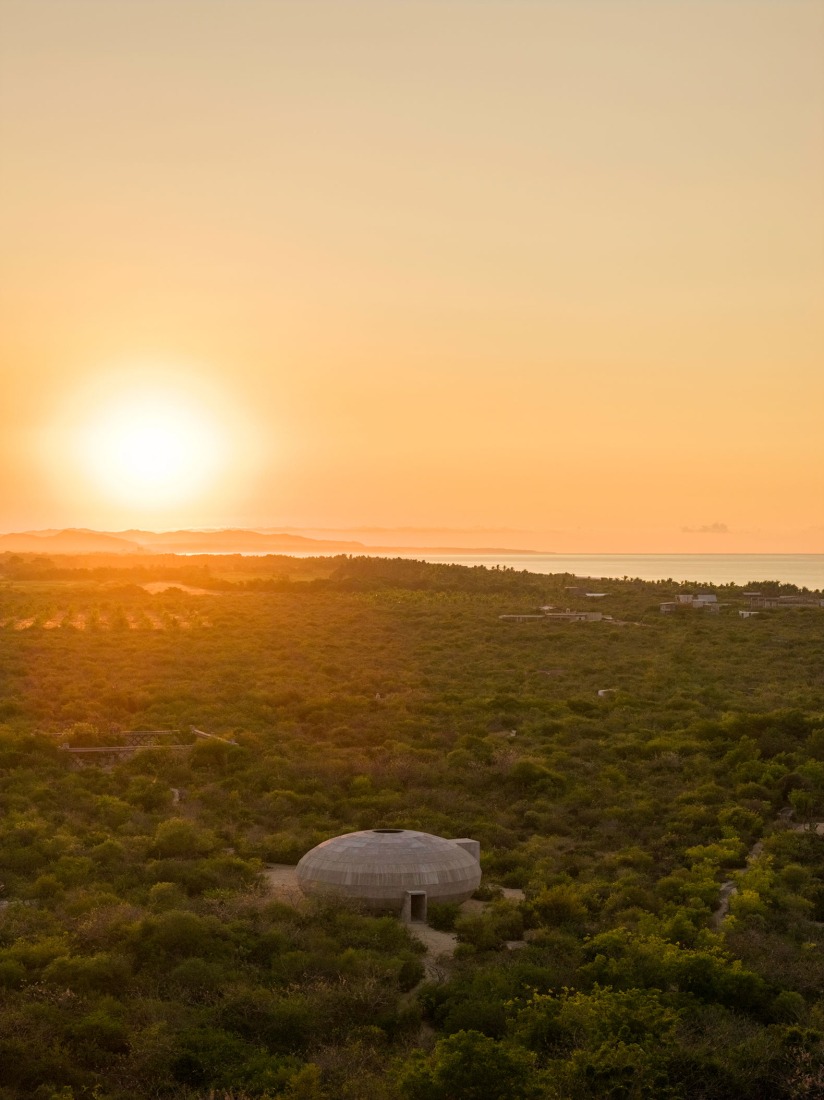 Mushroom Pavilion by OMA / Shohei Shigematsu. Photograph by Rafael Gamo.