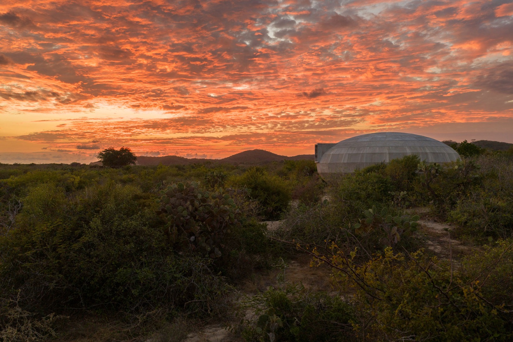 Mushroom Pavilion by OMA / Shohei Shigematsu. Photograph by Rafael Gamo.