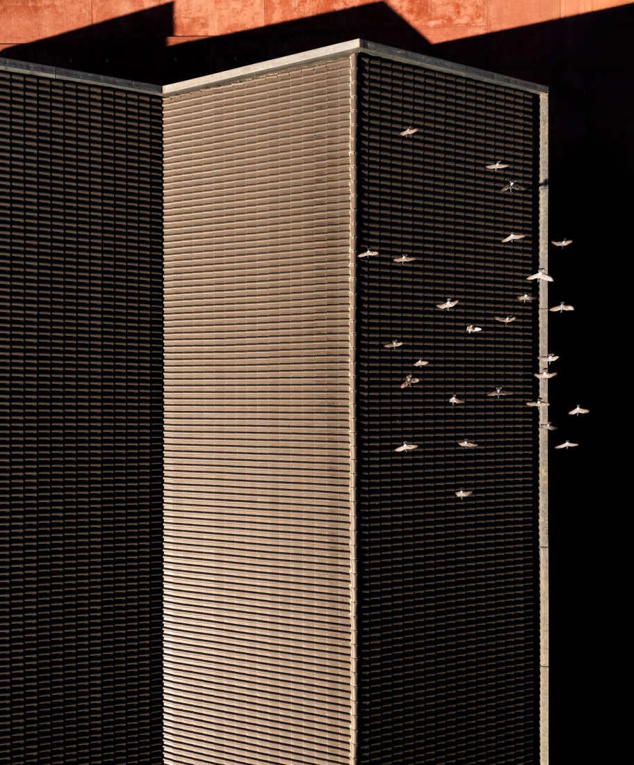 Vila do Bispo Museum by spaceworkers. Photograph by Fernando Guerra.