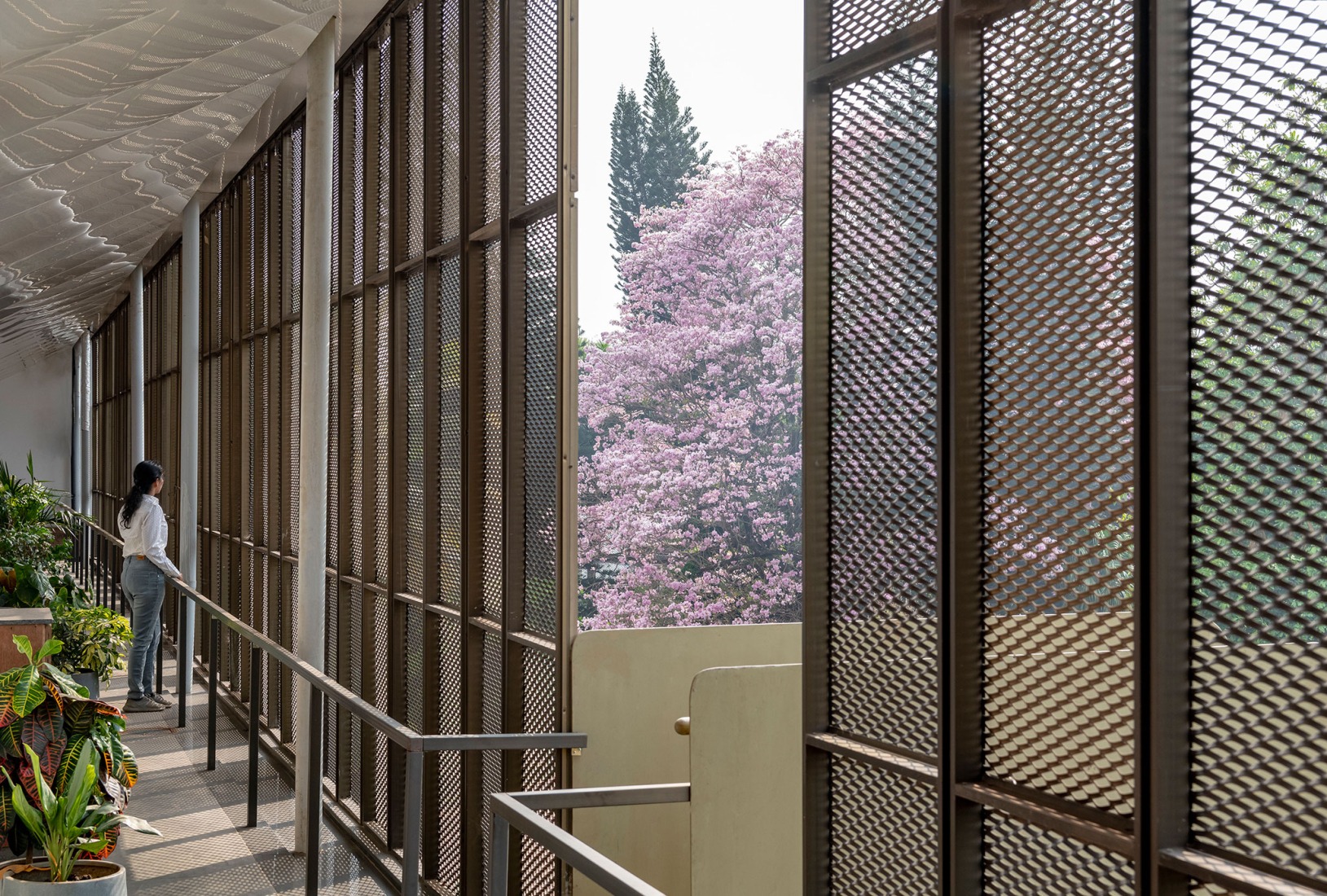 "Hoverspace" Extension to the KLE Society Head Office by Thirdspace. Photograph by Suryan and Dang.