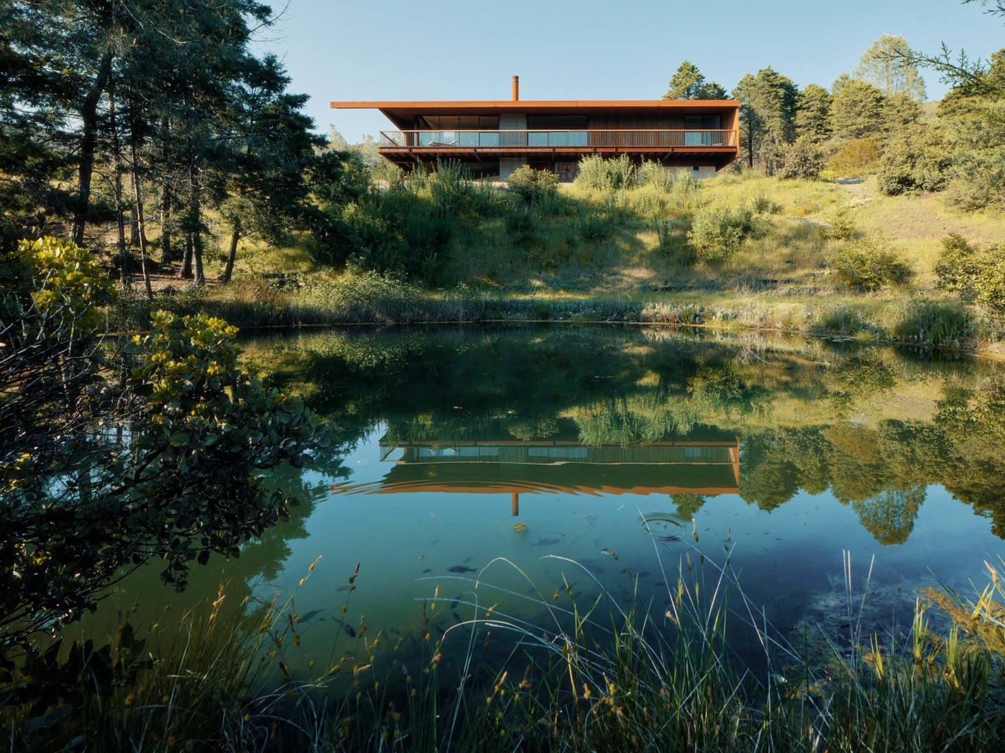 «Pine Flat» por Faulkner Architects. Fotografía por Joe Fletcher. 