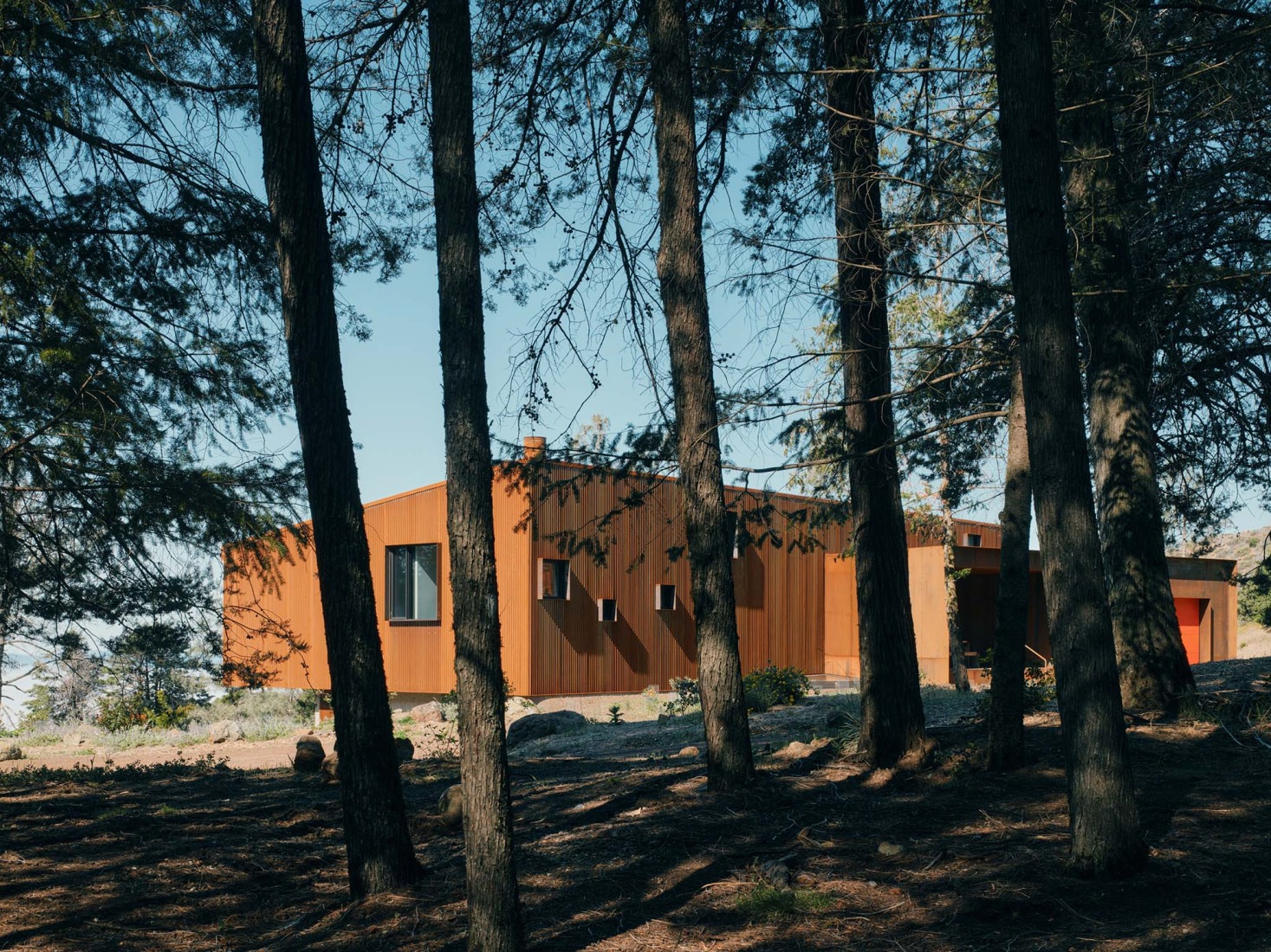 «Pine Flat» por Faulkner Architects. Fotografía por Joe Fletcher. 