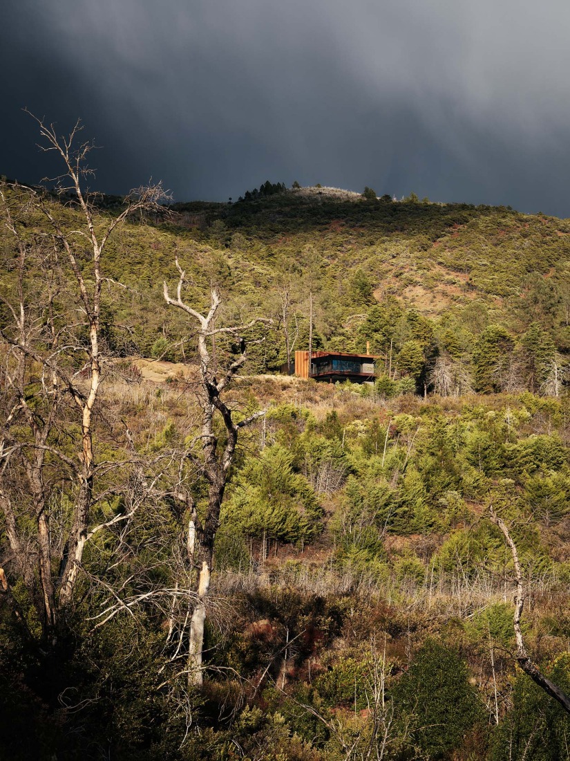 «Pine Flat» por Faulkner Architects. Fotografía por Joe Fletcher.