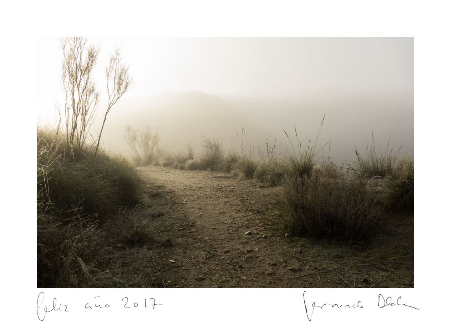 Fernando Alda Photographer