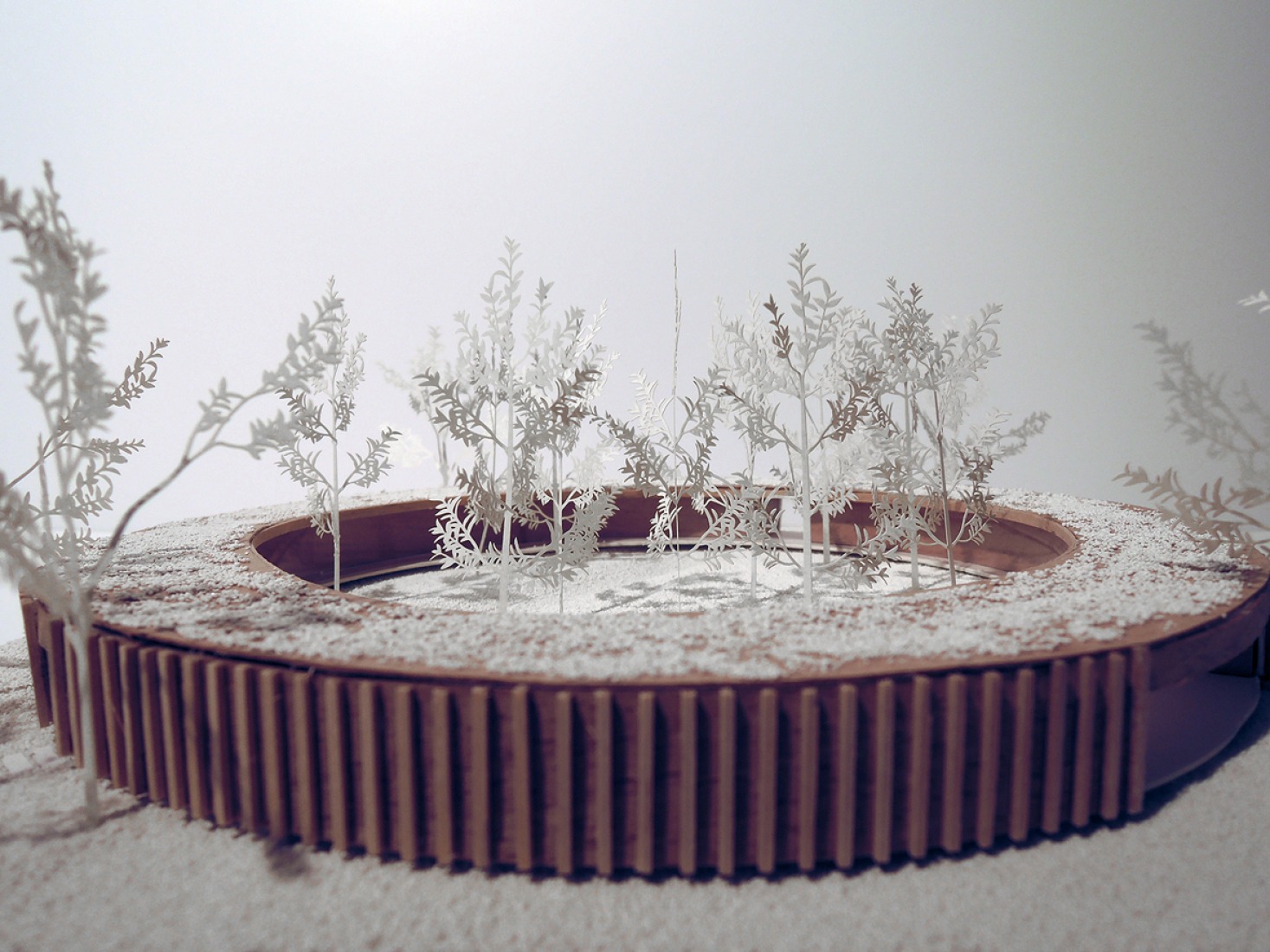 Model. Hostel Wadi by Bernardo Secchi & Paola Viganò.