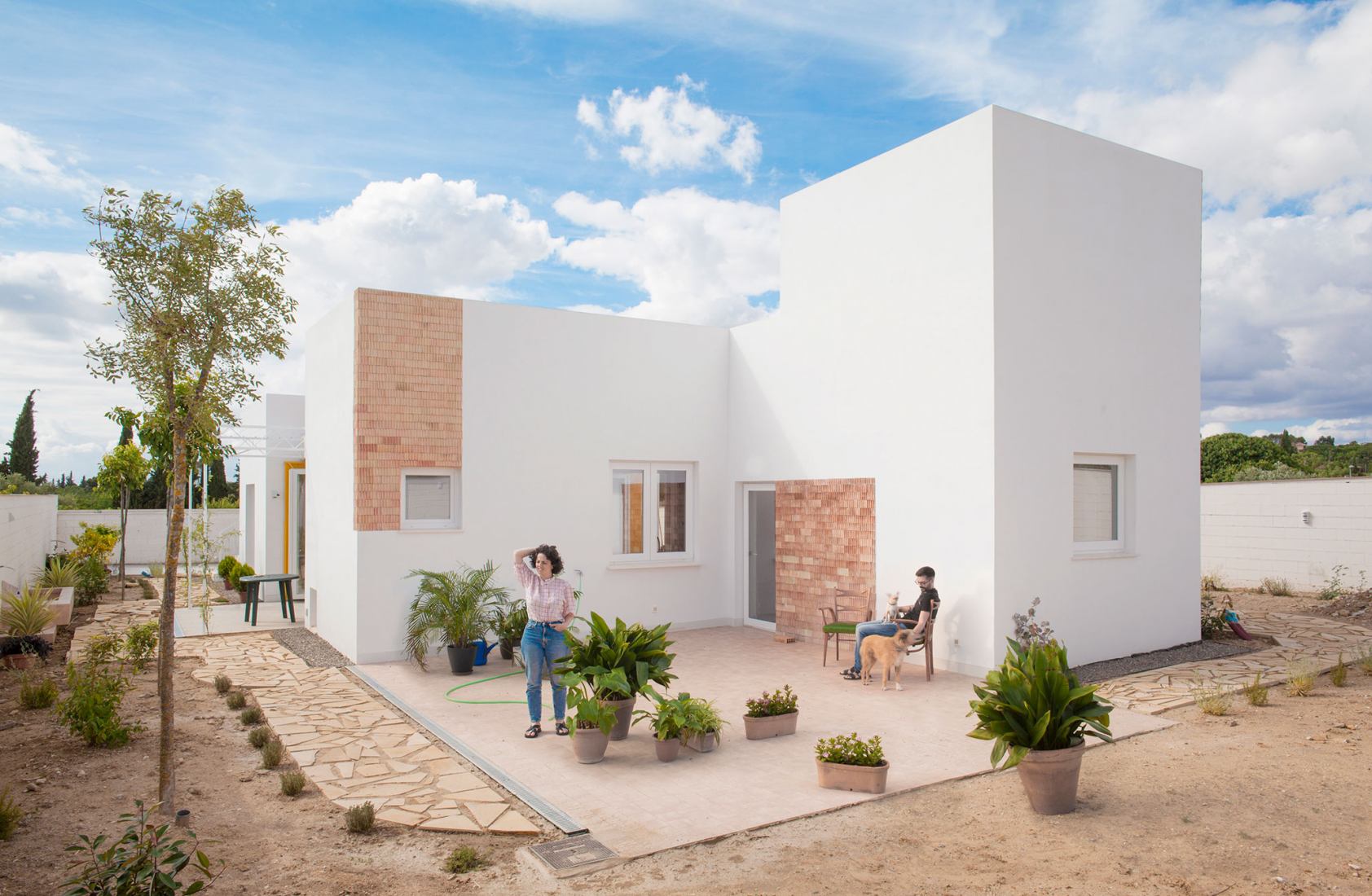 House for a family of Felines and Canines by AFAB. Photography by AFAB.