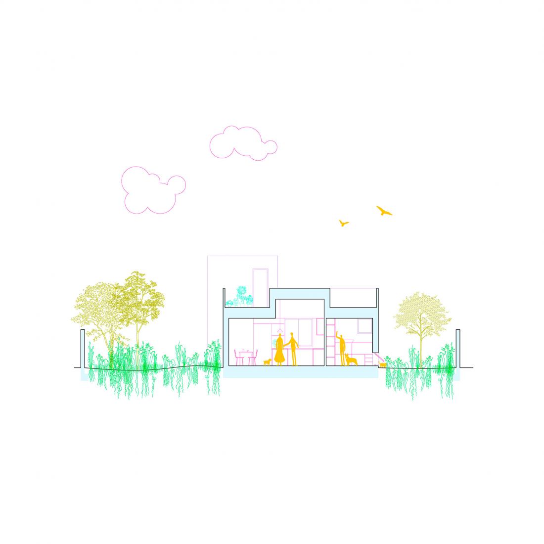 Section plan. House for a family of Felines and Canines by AFAB.