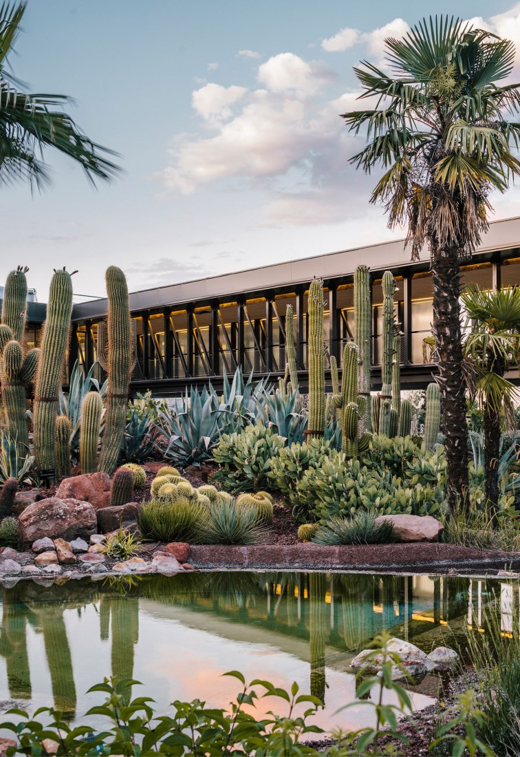 Desert City. Nursery for xerophytic species and associated uses, GarcíaGermán Arquitectos. Uncertainty - Spanish Pavilion. Photograph by Imagen Subliminal.