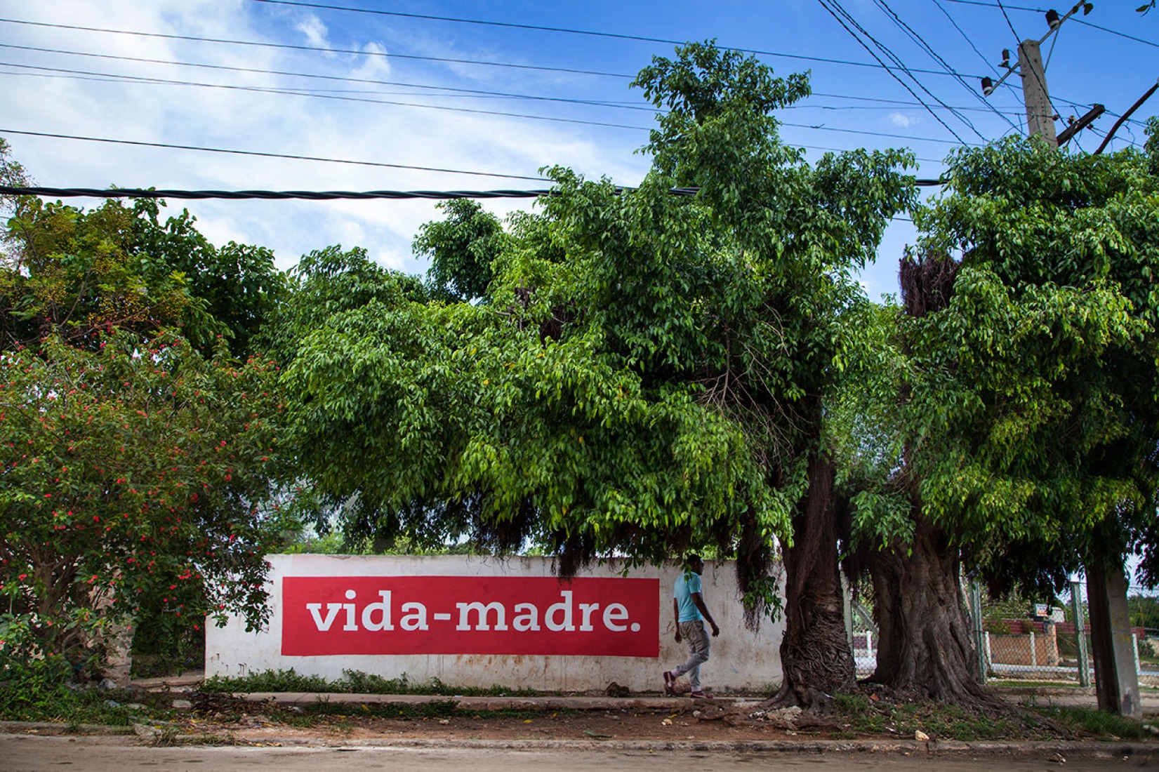 vida-madre. MI RAÍZ ES. Boa Mistura en la Bienal de La Habana. Fotografía © Boa Mistura.